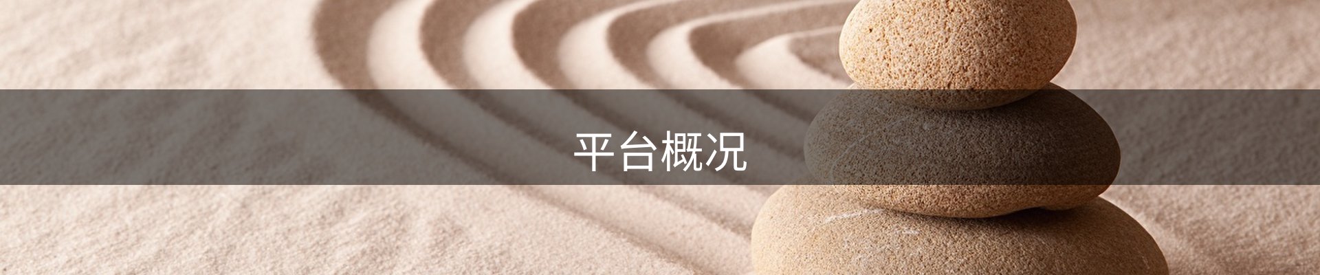 平台概况